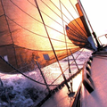 Yacht Racer