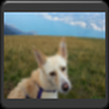 TrackMyPet GPS GSM Tracker icon