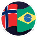 Tradutor português norueguês