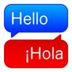 Translate Professional