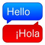 Translate Professional ikon