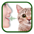 Cat to Human Voice Translator
