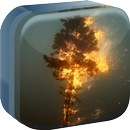 APK Tree on Fire Live Wallpaper