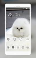 cute white hairy puppy pet theme ポスター