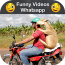 Funny Videos for Whatsapp APK