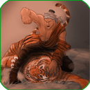 Truyện Thủy Hử - Thuy Hu APK