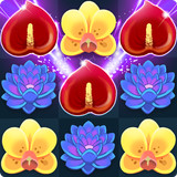 Blossom Blitz Tropic آئیکن