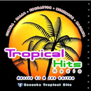 Tropical Hits Radio HD APK