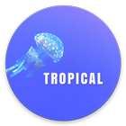 Tropical KWGT icône