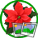 ”Christmas Pack 09