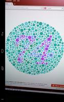 Colorblindness Viewer DEMO ポスター