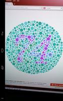 Colorblindness Viewer DEMO پوسٹر