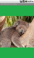 Koala Puzzle free Affiche