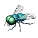 Simple!Flapper! APK
