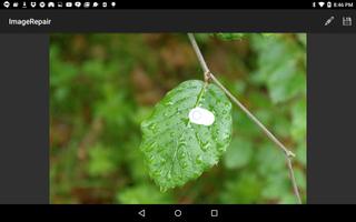 Image Repair (Beta) capture d'écran 1