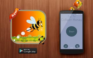 Honey Bee Collector Affiche