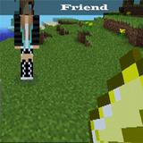 Friend Mod