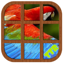 Parrot Sliding Puzzle APK