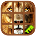 Lion Sliding Puzzle icon