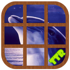 Dolphin Sliding Puzzle آئیکن