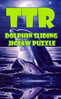 Dolphin Sliding Puzzle Poster