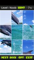 Dolphin Sliding Puzzle Ekran Görüntüsü 1
