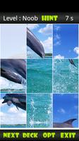 Dolphin Sliding Puzzle captura de pantalla 1