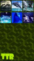 Dolphin Sliding Puzzle captura de pantalla 2