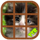 Kitten Sliding Puzzle ไอคอน