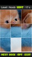 Kitten Sliding Puzzle ภาพหน้าจอ 1