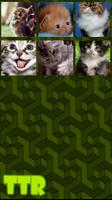 Kitten Sliding Puzzle ภาพหน้าจอ 2