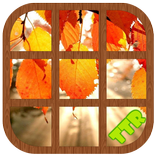 outono quebra cabeças