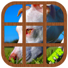 Pitbull Sliding Puzzle আইকন