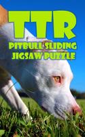 پوستر Pitbull Sliding Puzzle