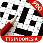 TTS Indonesia иконка