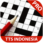 TTS Indonesia icono