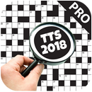 TTS Indonesia 2018 (PRO Version) APK