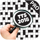 TTS Indonesia 2018 (PRO Version)-APK