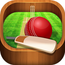 Cricket Launcher and Theme APK