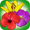 Icona Blossom Island
