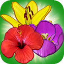 Blossom Island APK