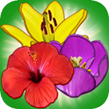 Blossom Island icône