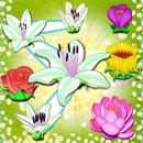 Flower Blast APK