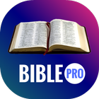 Bible Offline Pro icône