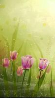 tulips live wallpaper poster