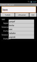 Turkish Lithuanian Dictionary Affiche