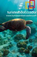 Turisteando Ecuador โปสเตอร์