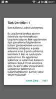 Türk Devletleri 海报