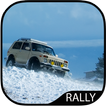 Ralli Yarış Oyunları