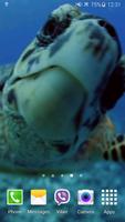 Tortue 4K Fond d'écran animé capture d'écran 2